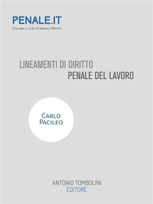cover image of Lineamenti di diritto penale del lavoro